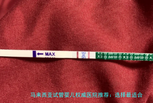 马来西亚试管婴儿权威医院推荐：选择最适合您的医疗机构