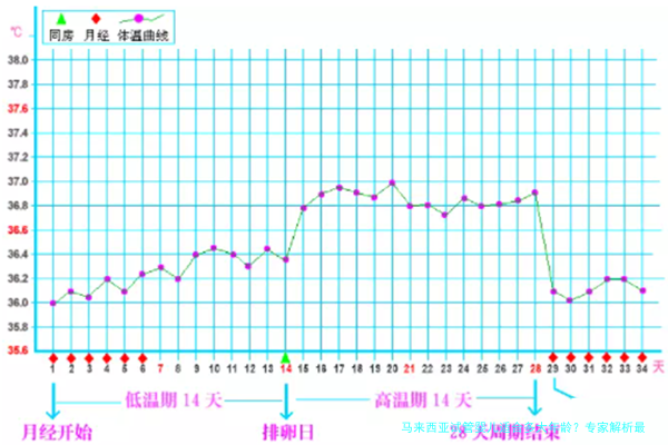 马来西亚试管婴儿适合多大年龄？专家解析最佳时机与实用建议