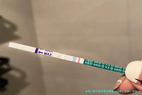 全面了解马来西亚试管婴儿技术：优势、流程与费用指南