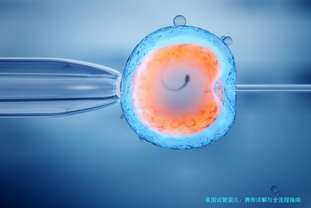 美国试管婴儿：费用详解与全流程指南