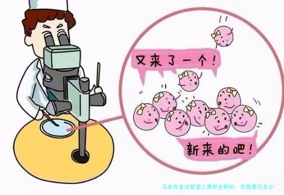马来西亚试管婴儿费用全解析：究竟要花多少钱？
