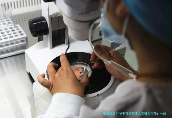 格鲁吉亚不孕不育试管婴儿套餐全攻略：一站式解决方案解析