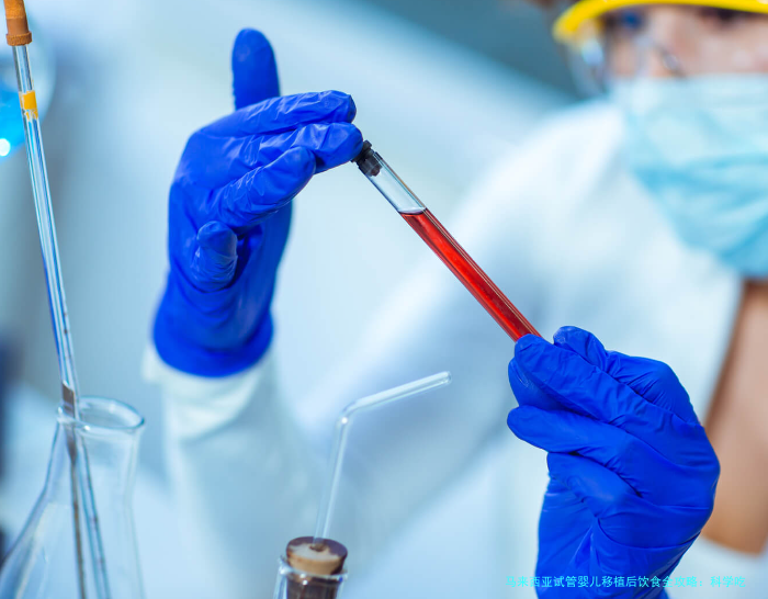 马来西亚试管婴儿移植后饮食全攻略:科学吃出好孕气