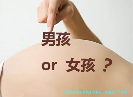 美国做试管婴儿的全部费用大概是多少？详细解析与省钱攻略