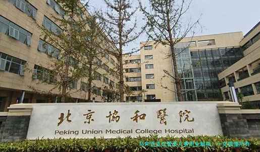 马来西亚试管婴儿费用全解析:一文搞懂所有开销与省钱技巧