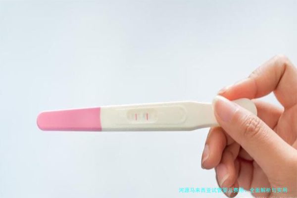河源马来西亚试管婴儿费用:全面解析与实用建议