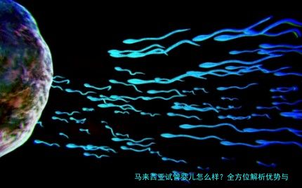 马来西亚试管婴儿怎么样?全方位解析优势与流程,助你做出明智选择