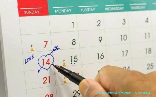 马来西亚试管婴儿费用全解析:多少钱才能圆梦?