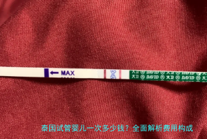 泰国试管婴儿一次多少钱？全面解析费用构成与省钱攻略