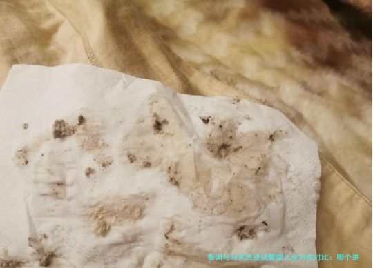 泰国与马来西亚试管婴儿全方位对比:哪个是你的理想选择?
