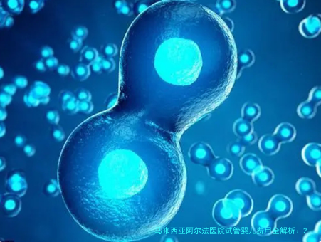 马来西亚阿尔法医院试管婴儿费用全解析:2023年最新收费指南