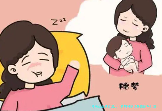 马来西亚试管婴儿:真的可以选择性别吗?法律与技术全解析
