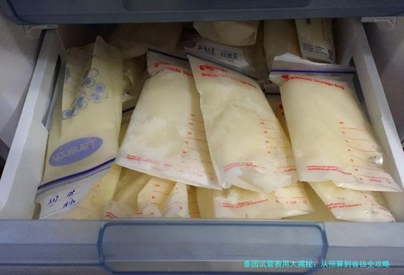 泰国试管费用大揭秘：从预算到省钱全攻略