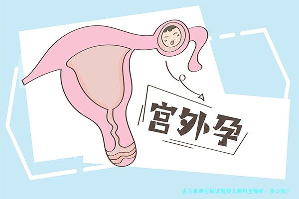 去马来西亚做试管婴儿费用全解析:多少钱?如何规划?