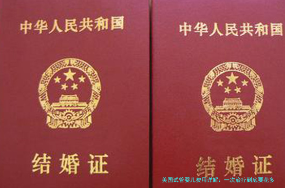 美国试管婴儿费用详解:一次治疗到底要花多少钱?