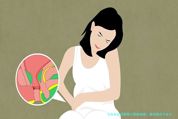 马来西亚试管婴儿移植指南：最佳地点与全方位攻略