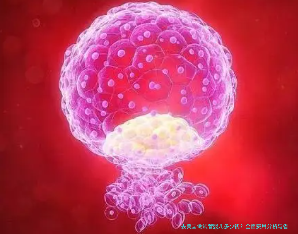 去美国做试管婴儿多少钱?全面费用分析与省钱指南