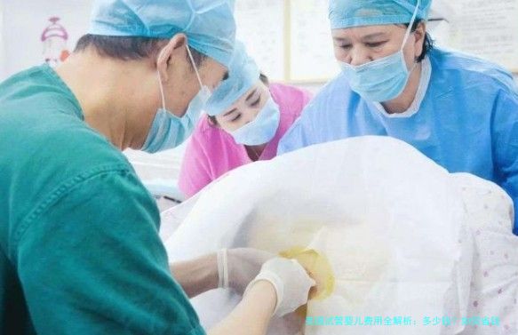 美国试管婴儿费用全解析:多少钱?如何省钱?