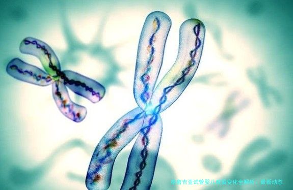 格鲁吉亚试管婴儿政策变化全解析：最新动态与影响