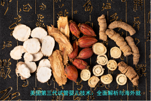 美国第三代试管婴儿技术：全面解析与海外就医指南