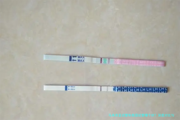 马来西亚试管和泰国试管哪个好？深度对比与选择建议