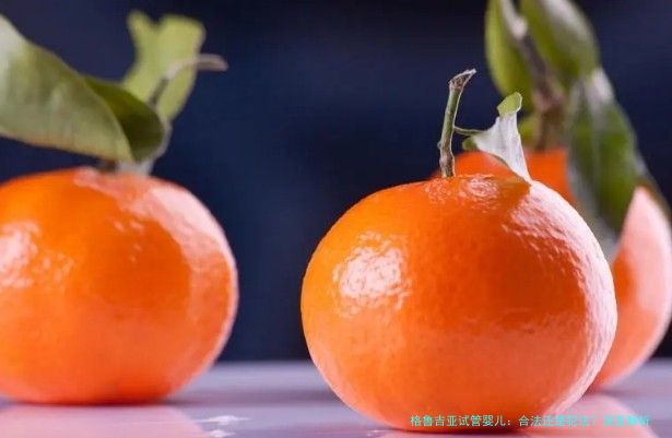 格鲁吉亚试管婴儿：合法还是犯法？深度解析法律现状与个人观点