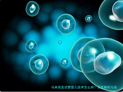 马来西亚试管婴儿技术怎么样？深度解析与亲身经验分享