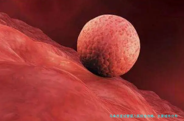 马来西亚试管婴儿医院全攻略：主要城市分布与选择指南