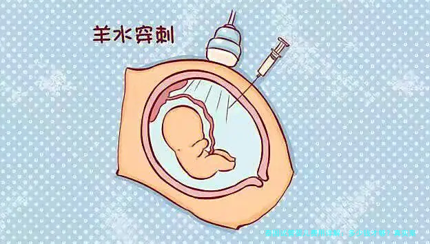 泰国试管婴儿费用详解：多少钱才够？真实案例与省钱攻略