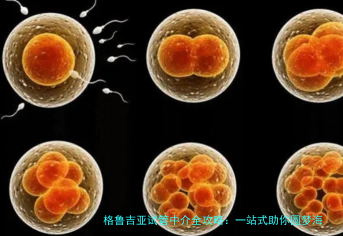 格鲁吉亚试管中介全攻略：一站式助你圆梦海外试管
