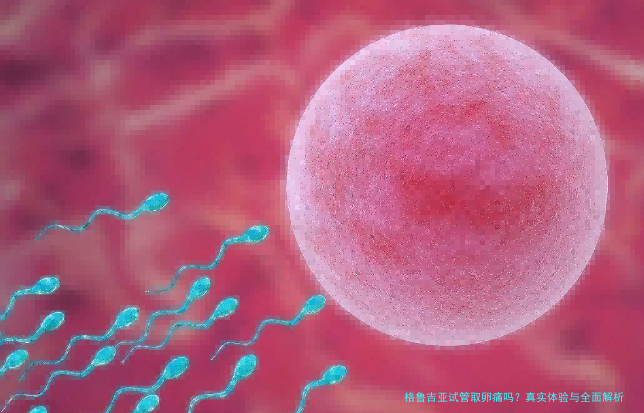 格鲁吉亚试管取卵痛吗？真实体验与全面解析