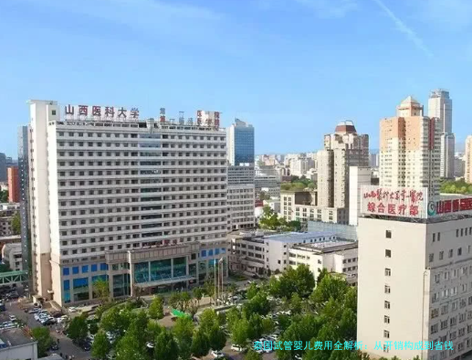 泰国试管婴儿费用全解析：从开销构成到省钱技巧