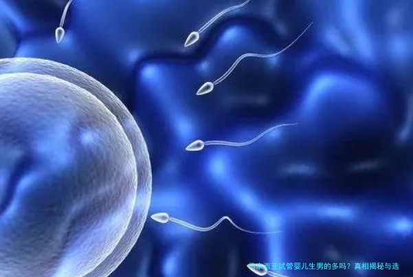 马来西亚试管婴儿生男的多吗？真相揭秘与选择指南