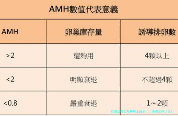 泰国试管婴儿费用全解析：大约需要多少钱？