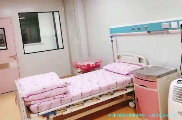 泰国试管婴儿费用全解析：从医疗到生活，你需要准备多少钱？