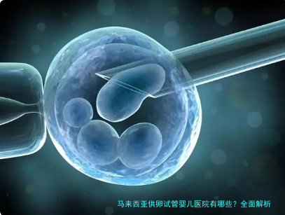 马来西亚供卵试管婴儿医院有哪些?全面解析与选择指南