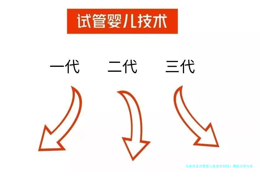 马来西亚试管婴儿能选性别吗?揭秘法律与技术真相