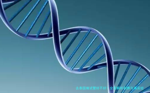 去泰国做试管好不好？全面解析利弊与真实经验分享