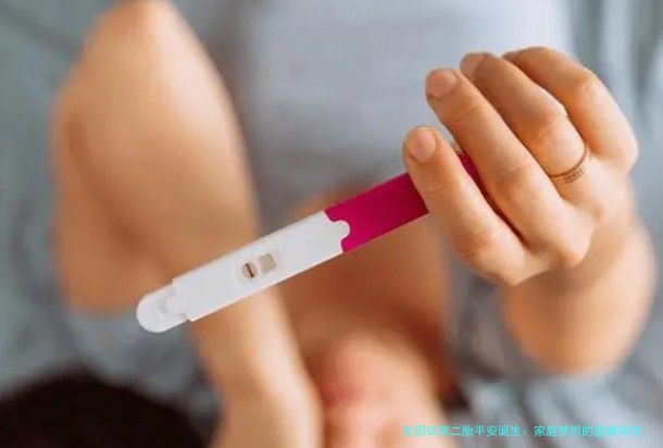 美国试管二胎平安诞生：家庭梦想的温暖实现