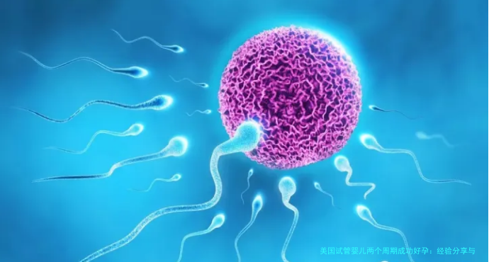 美国试管婴儿两个周期成功好孕：经验分享与流程解析