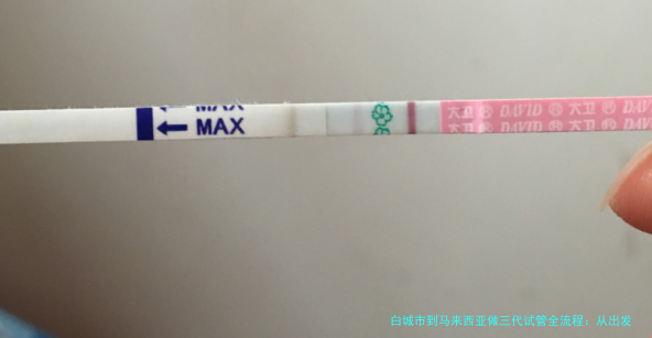 白城市到马来西亚做三代试管全流程:从出发到成功,一站式指南分享