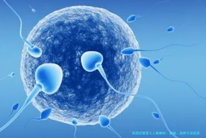 美国试管婴儿人数解析：数据、趋势与深层原因