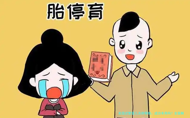 美国试管婴儿冻卵移植：成功率高吗？全面解析与实用指南