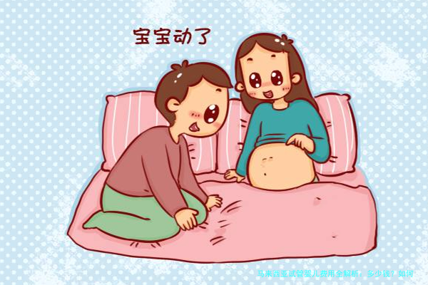 马来西亚试管婴儿费用全解析：多少钱？如何明智选择？
