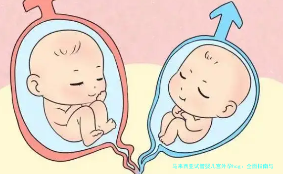 马来西亚试管婴儿宫外孕hcg：全面指南与应对策略