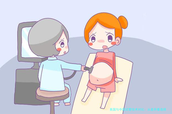 美国与中国试管技术对比：从差异看选择