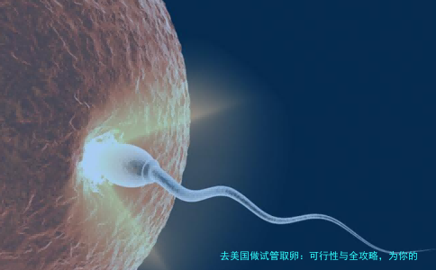 去美国做试管取卵：可行性与全攻略，为你的生育梦想指路