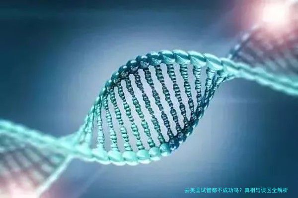 去美国试管都不成功吗？真相与误区全解析