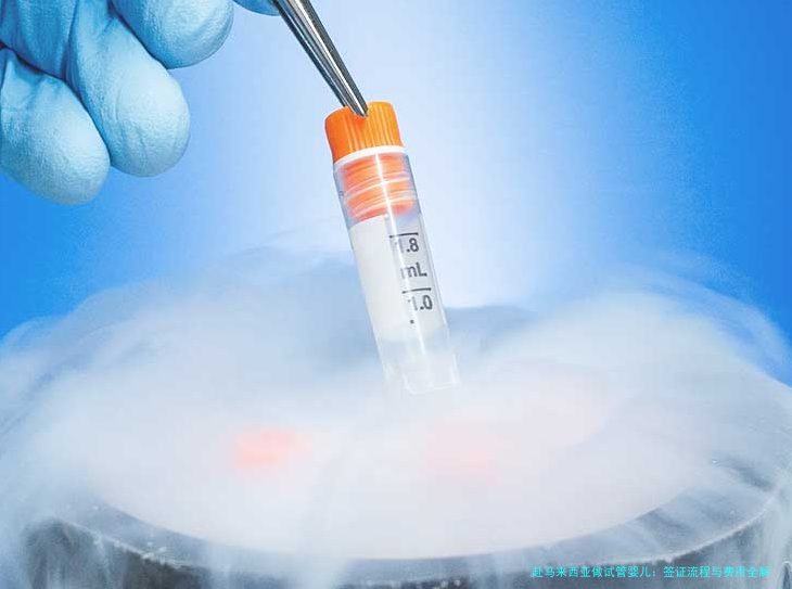 赴马来西亚做试管婴儿：签证流程与费用全解析