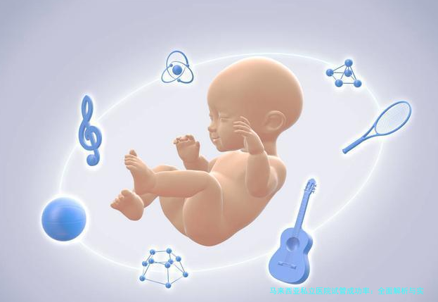 马来西亚私立医院试管成功率：全面解析与实用选择指南
